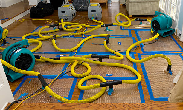 Professional Sewage Cleanup technician working in Ames, NE